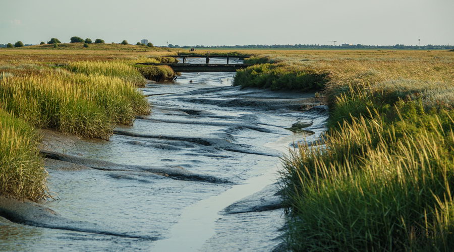 Bild St. Peter-Ording © HD-Graphy.de