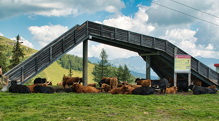 © HD-Graphy.de - auf dem Fanningberg